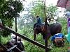 Elephant trekking in the pouring rain rainy season in Chiang Mai